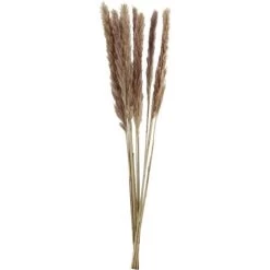 PAMPAS PLUIMEN SMALL 10ST MAT80XCM