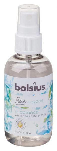 BOLSIUS ROOMSPRAY WHITE TEA EN MINT 75ML